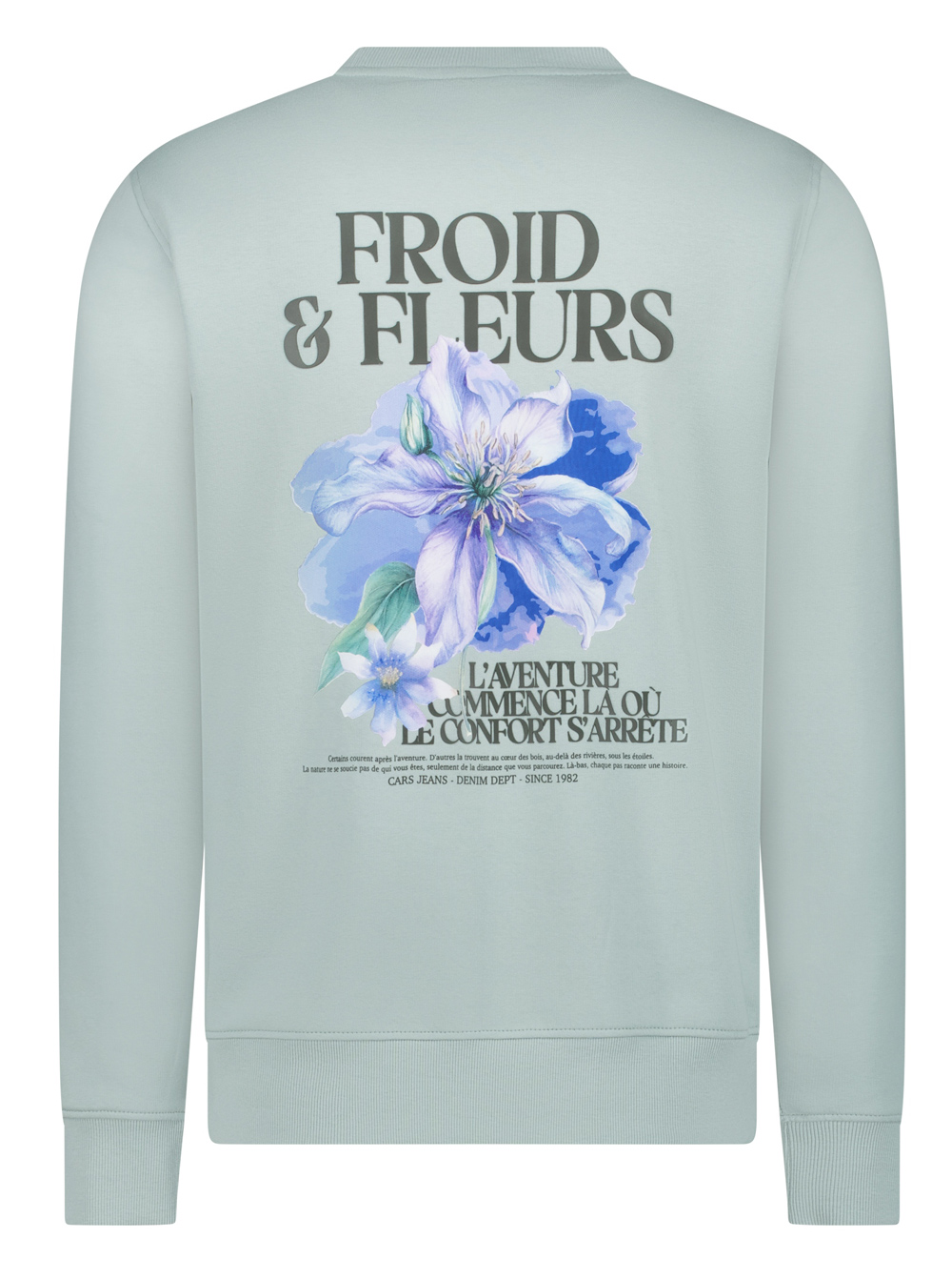 Cars Jeans Sweater met Rugprint - Froy SW - 6719734
