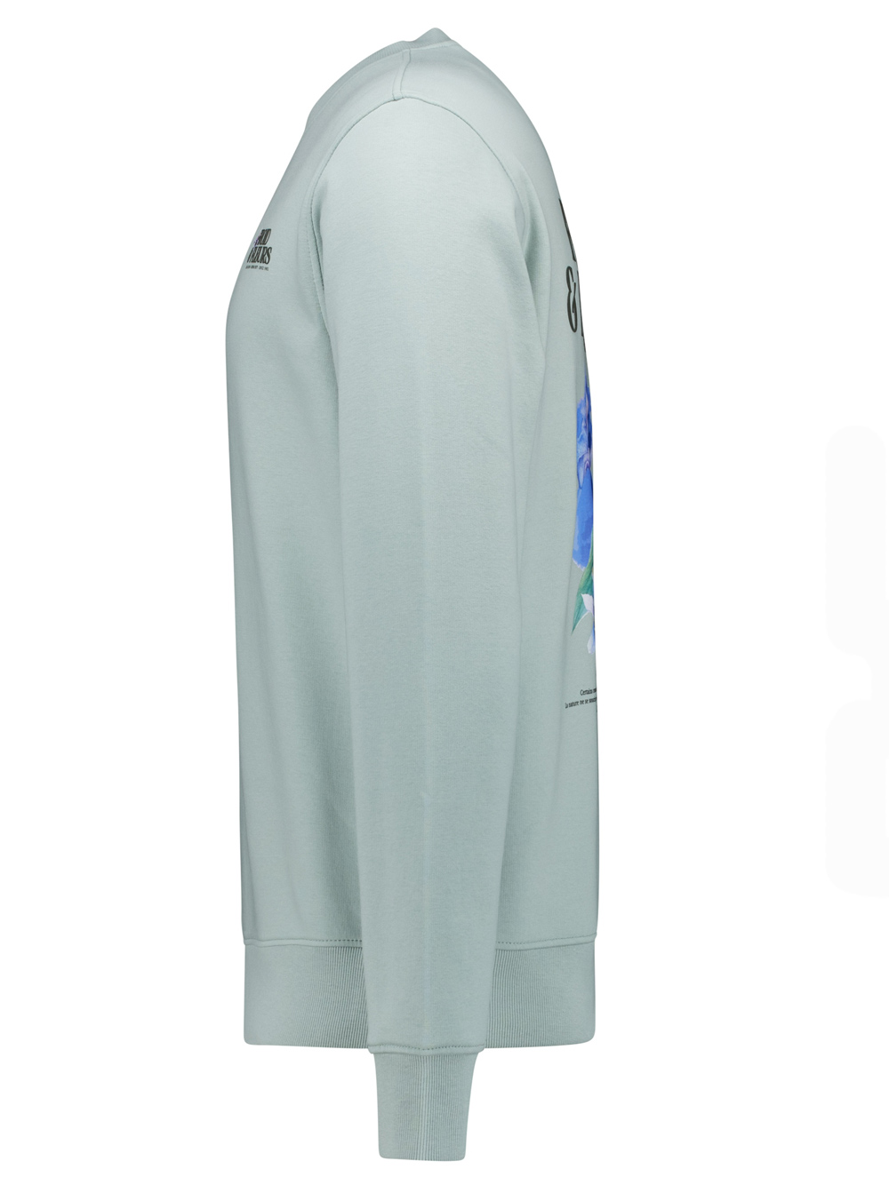 Cars Jeans Sweater met Rugprint - Froy SW - 6719734