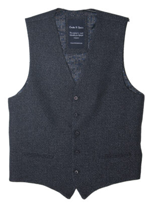 Carter & Davis heren Gilet - 2649-7425