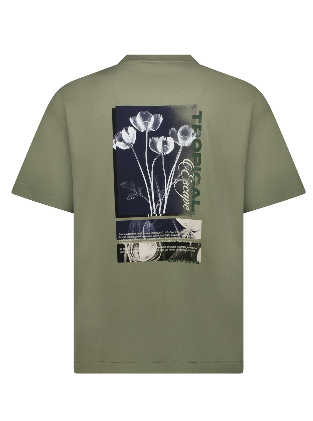 Cars Jeans Groen Heren T-shirt met Backprint - Byzo